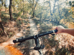 POV cameras, seen here with a view of handle bars and a forest are one of the technologies transforming extreme sports