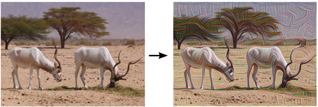 Knowledge Problems in AI deep dream pattern recognition Knowledge Problems in AI deep dream pattern recognition